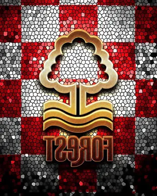 Nottingham Forest Fc London